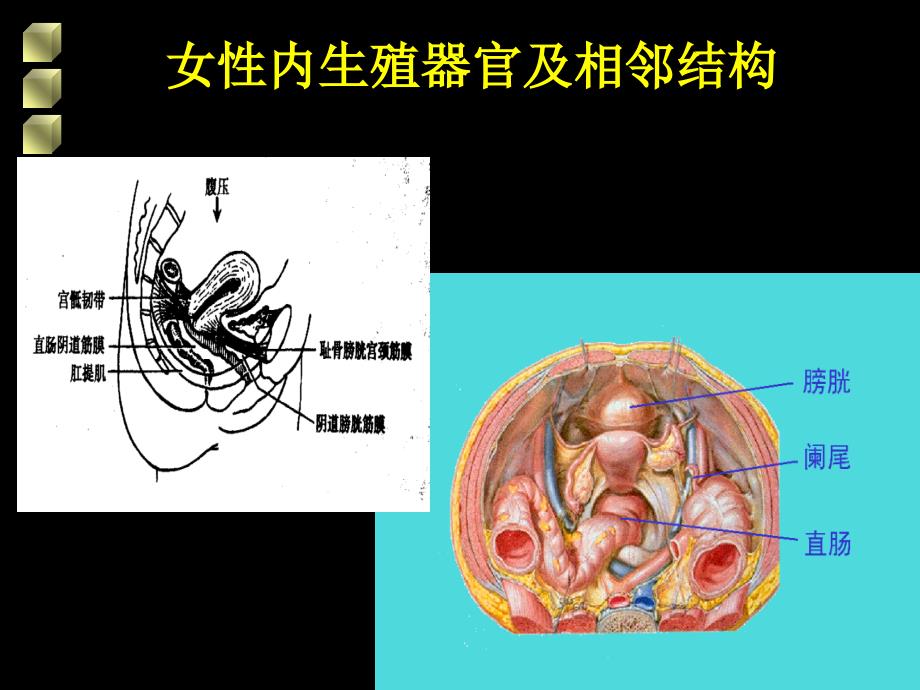 女性生殖道损伤性疾病_第2页