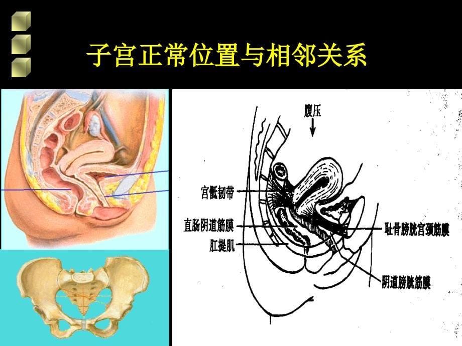 女性生殖道损伤性疾病_第5页