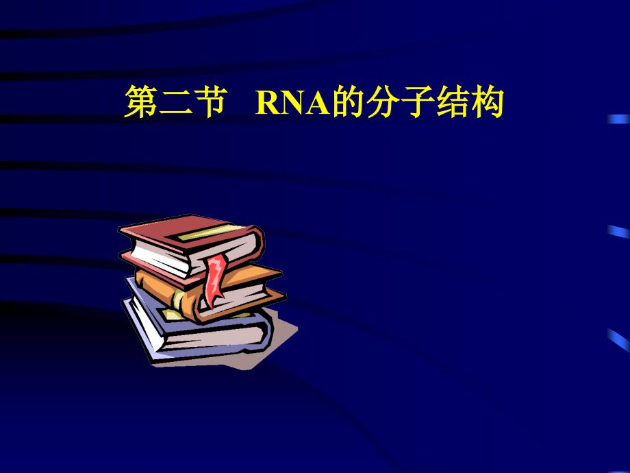 RNA的分子结构_第1页