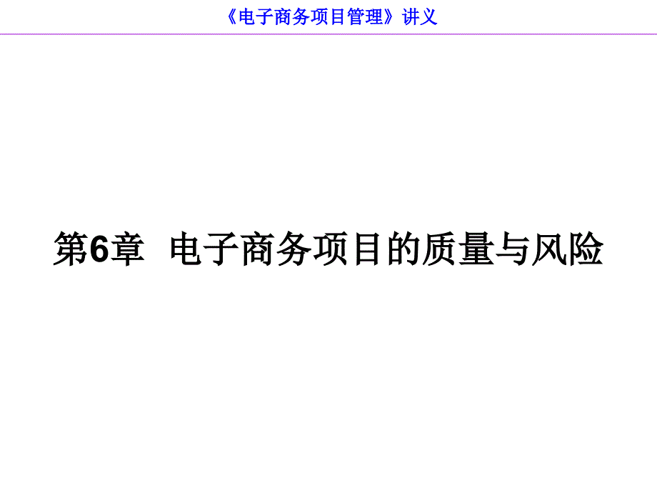 电子商务项目的质量与风险.ppt_第1页