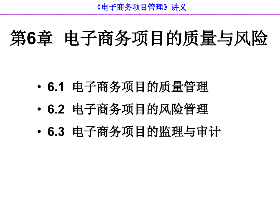 电子商务项目的质量与风险.ppt_第2页