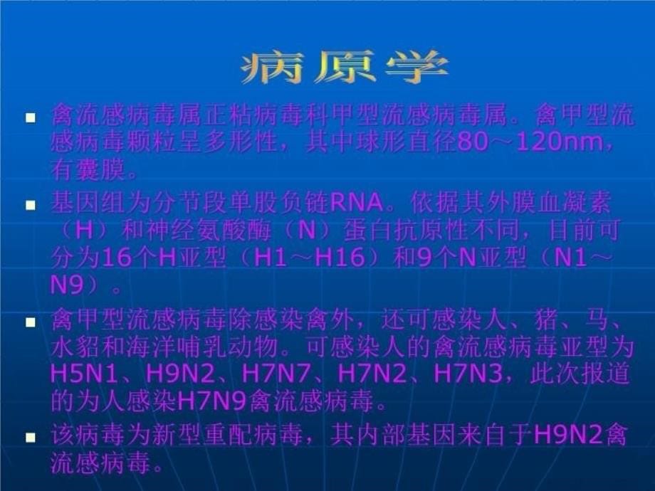 人感染H7N9禽流知识宣讲_第5页