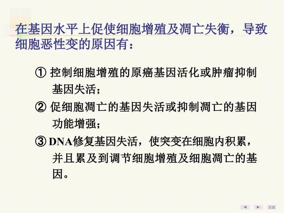 癌基因、肿瘤抑制基因与生长因子_第5页