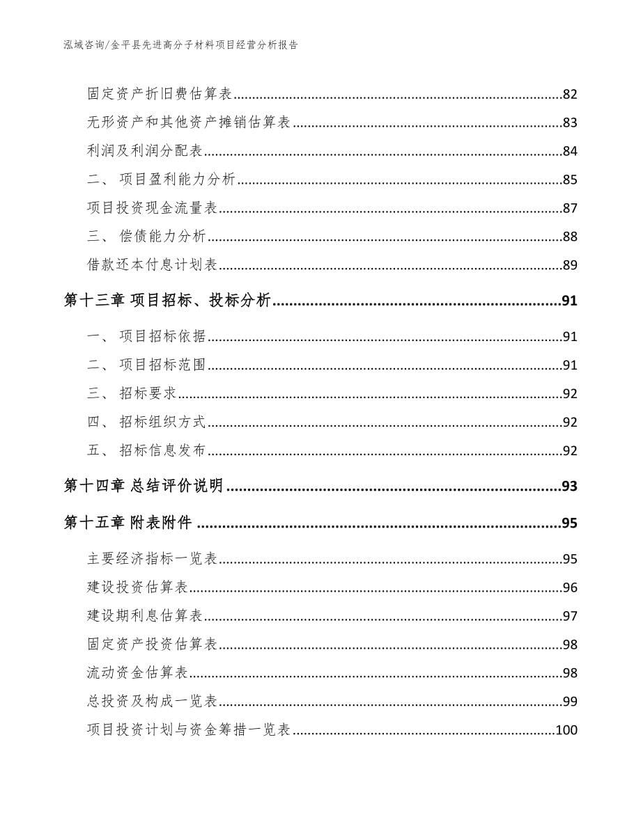 金平县先进高分子材料项目经营分析报告【模板参考】_第5页