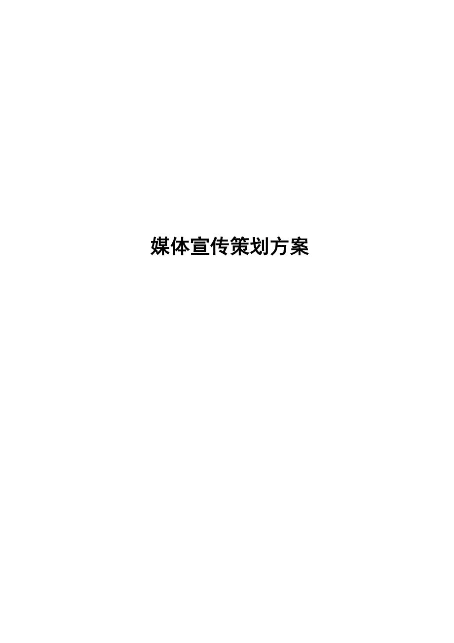 媒体宣传策划方案_第1页