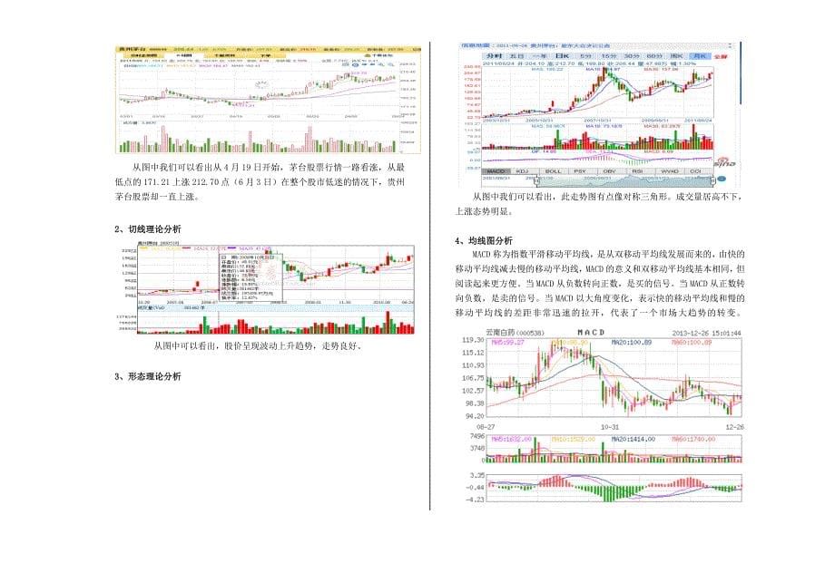 贵州茅台酒股份有限公司股票投资分析报告_第5页