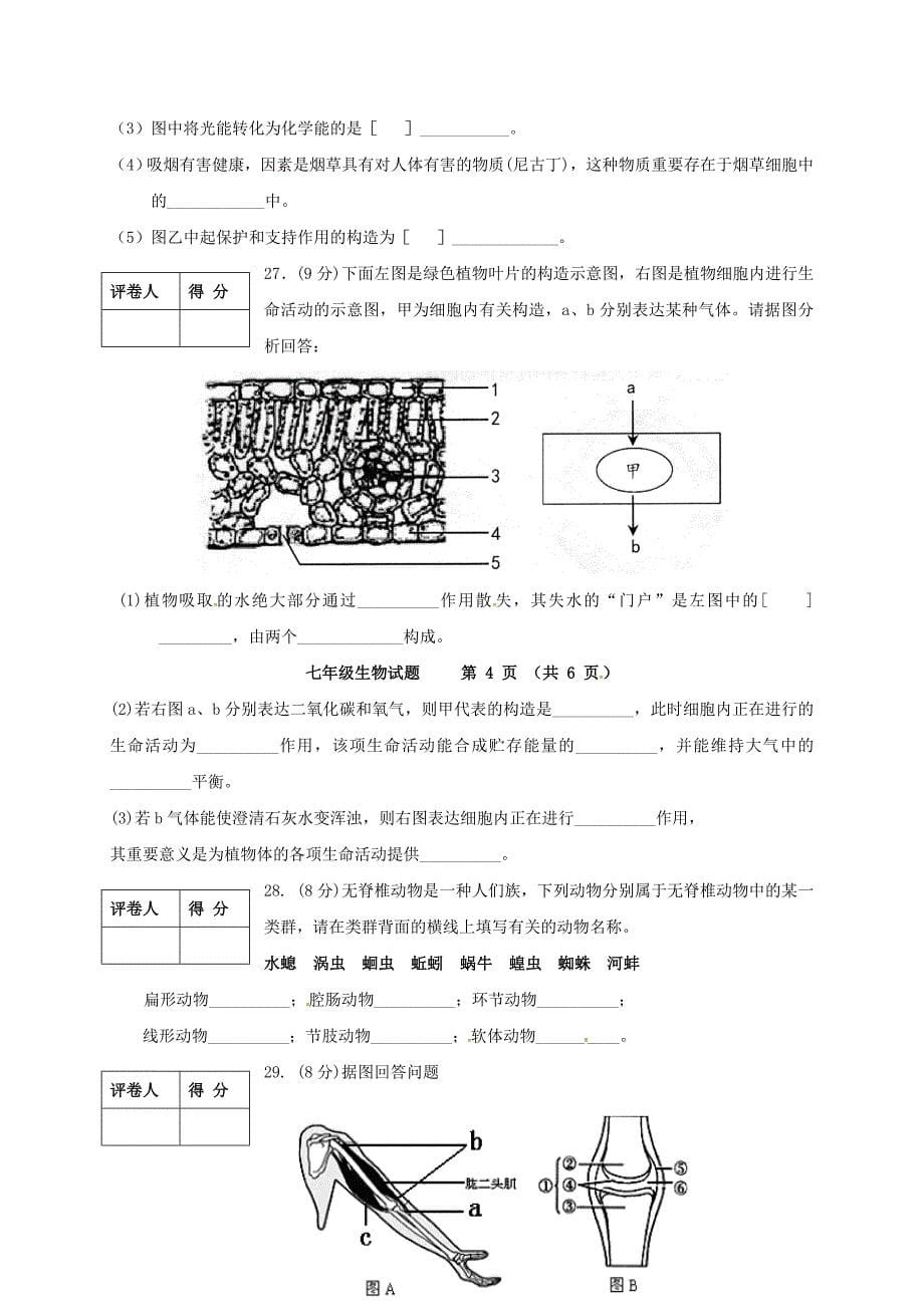 山东省临沂相公中学-七年级生物上学期期末考试试题新人教版_第5页