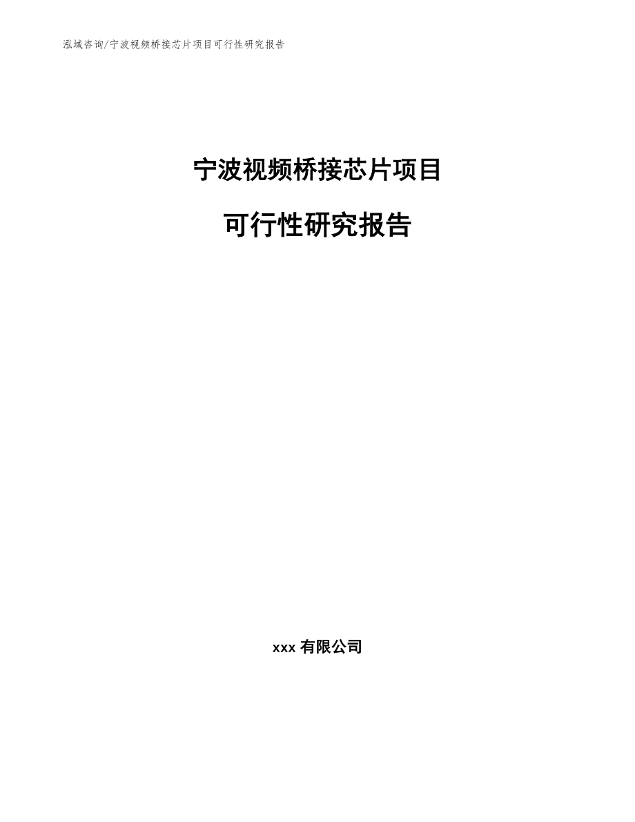 宁波视频桥接芯片项目可行性研究报告_第1页