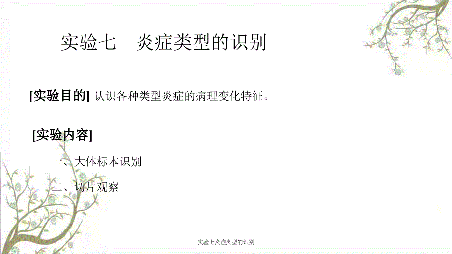 实验七炎症类型的识别_第1页