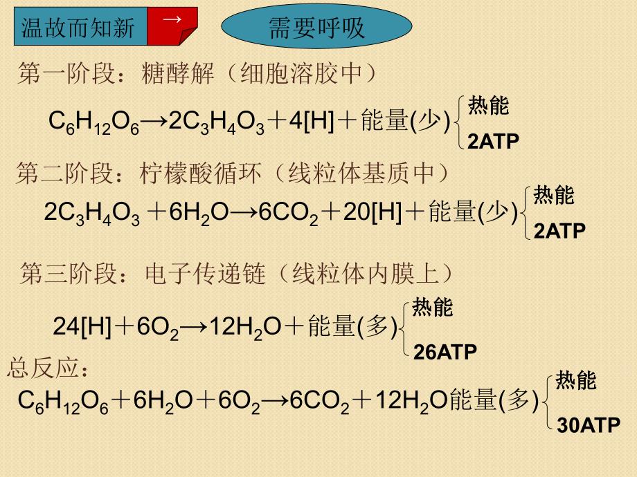 生物：影响细胞呼吸的因素课件(新人教版必修1)_第2页