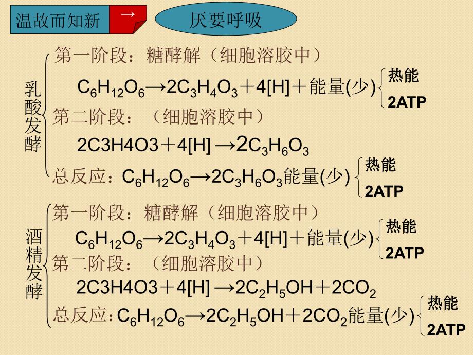 生物：影响细胞呼吸的因素课件(新人教版必修1)_第3页