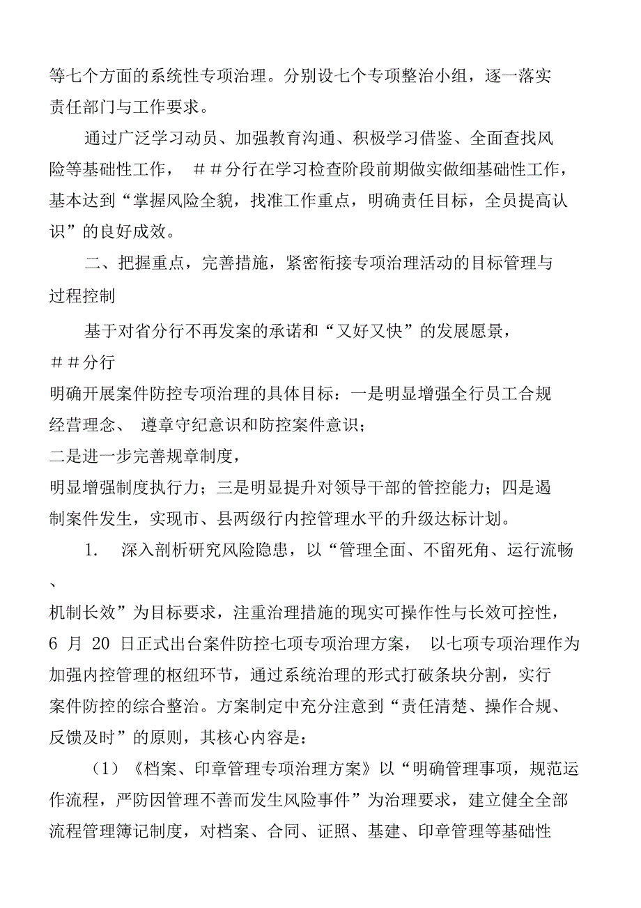 银行分行抓枢纽环节促案件防控专项治理深入开展总结_第3页