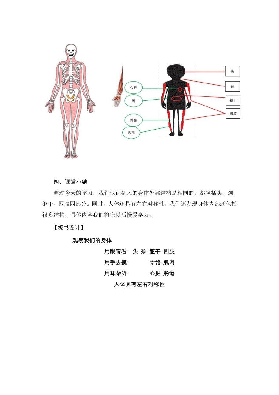 2.1《观察我们的身体》教学设计.docx_第5页