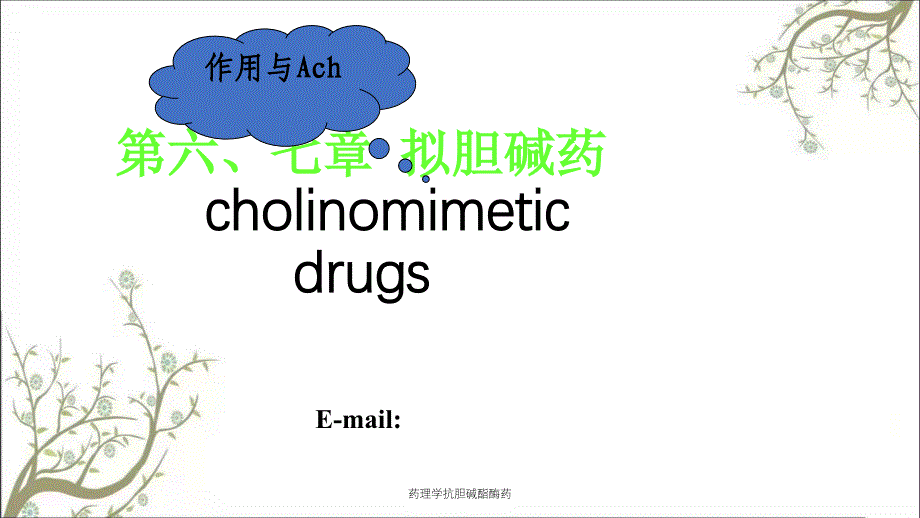 药理学抗胆碱酯酶药_第1页