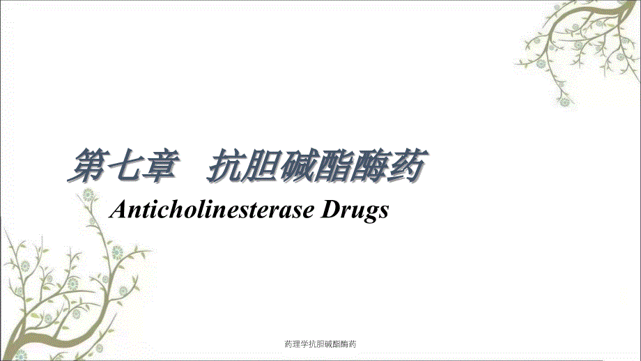 药理学抗胆碱酯酶药_第3页