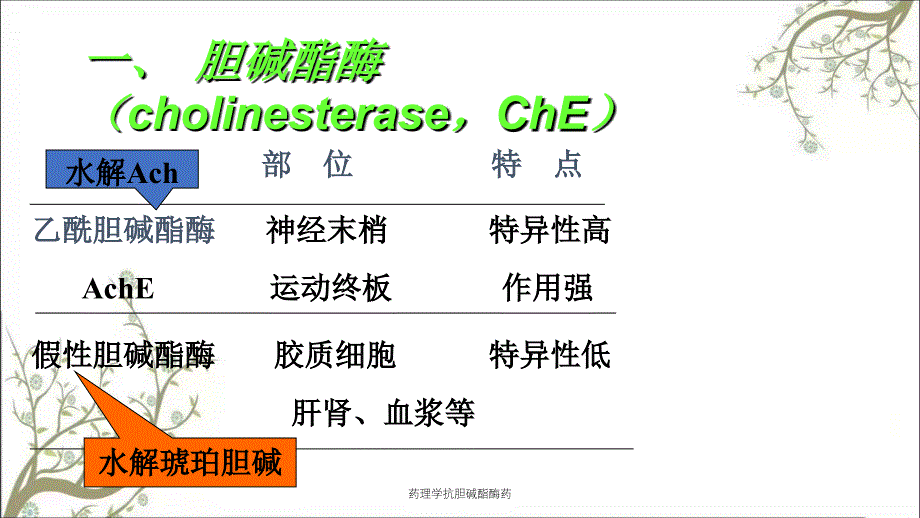 药理学抗胆碱酯酶药_第4页