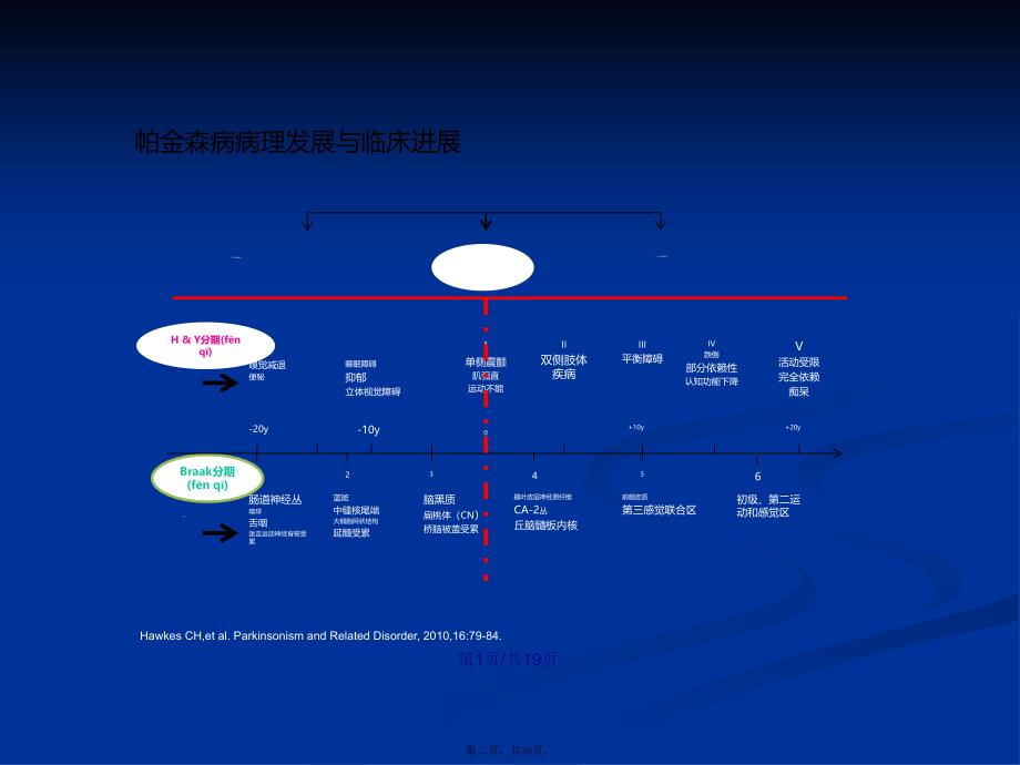 MDS帕金森病临床诊断标准学习教案_第2页