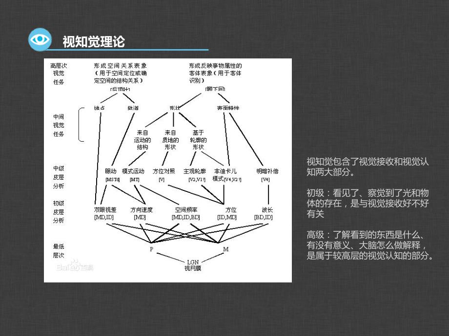 视知觉原理ppt课件_第3页