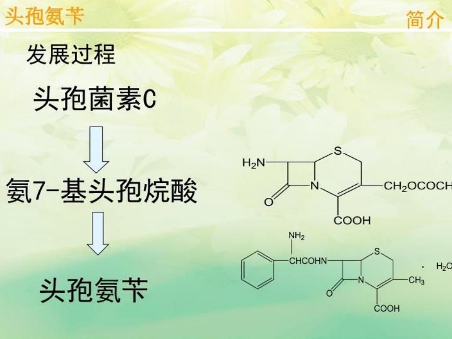 最新头孢氨苄生产工艺流程ppt课件_第4页