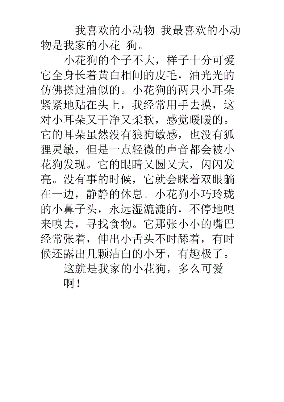 有趣的小动物_第2页