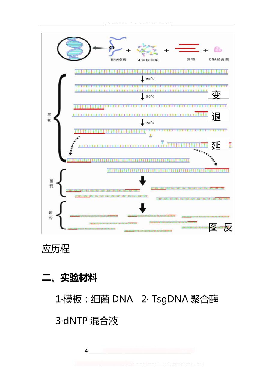 PCR扩增实验操作步骤(5页)12654_第4页