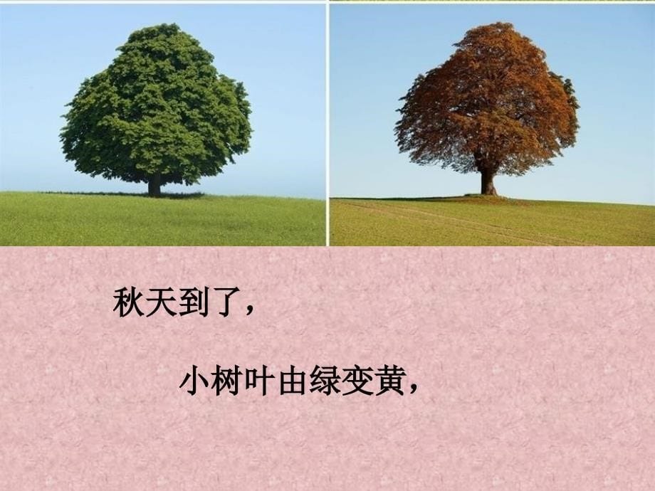 大班语言活动散文落叶课件_第5页