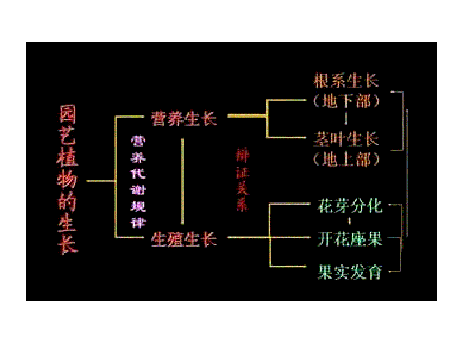 园艺植物生物学PPT课件_第2页