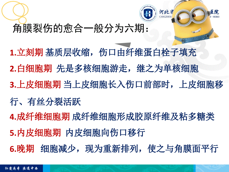 角膜外伤缝合技巧.ppt_第4页