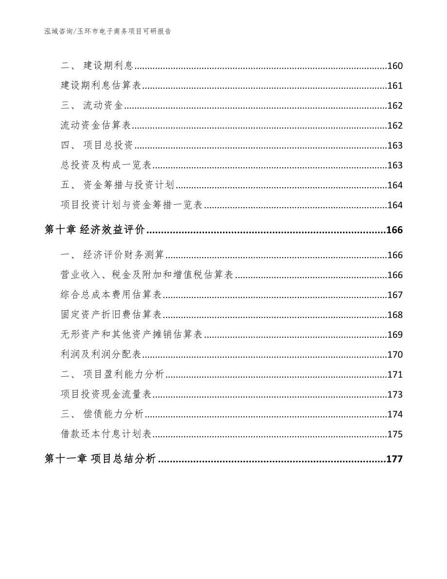 玉环市电子商务项目可研报告_第5页