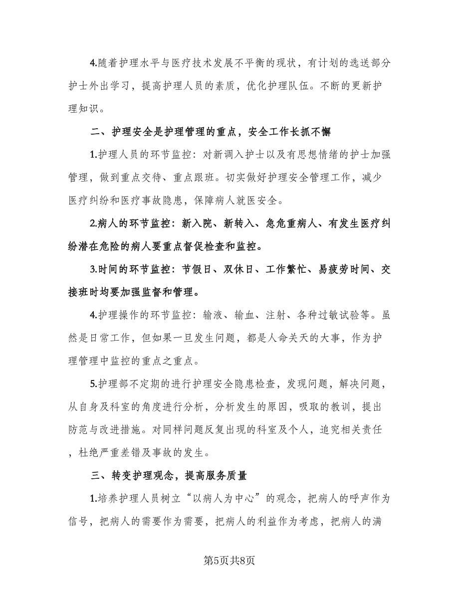 2023年度护师工作计划（三篇）.doc_第5页