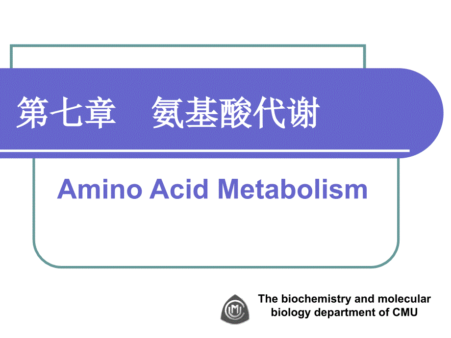 第7章氨基酸代谢4_第1页