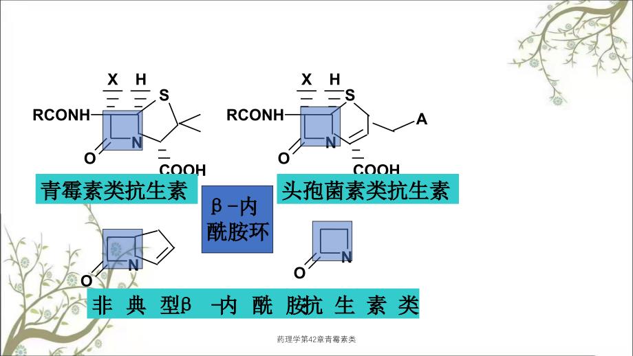 药理学第42章青霉素类_第3页