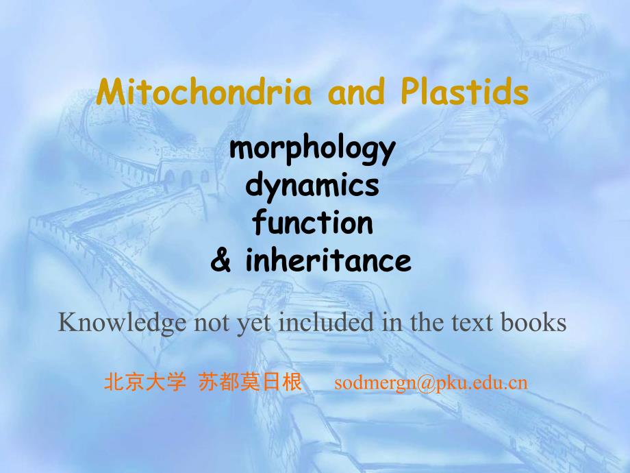 5月13日 5月20日 Mitochondria and Plastids_第1页