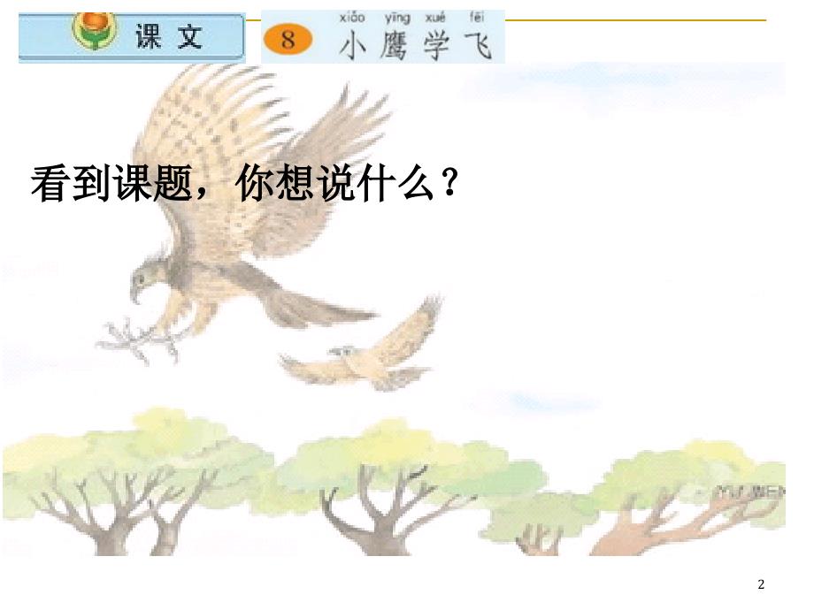 8小鹰学飞ppt2_第2页