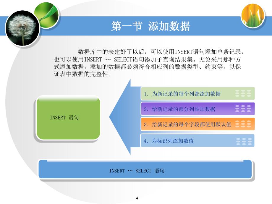 教学课件第八章表数据操作_第4页