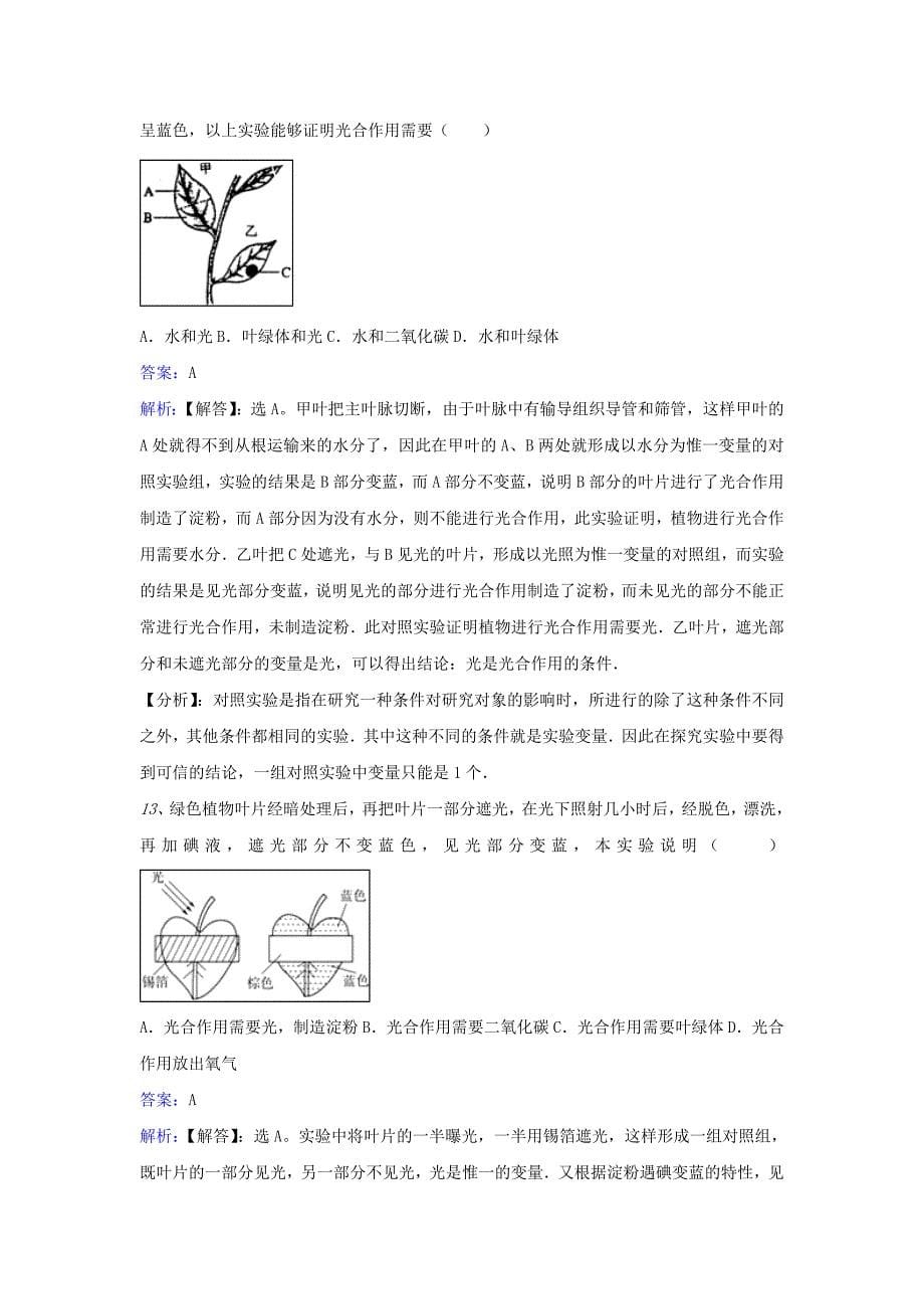 [推荐学习]七年级生物上册第三单元第六章第三节植物光合作用的实质同步练习新版苏教版_第5页