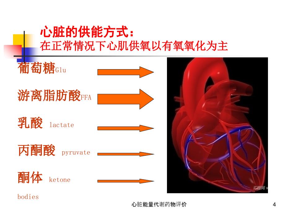 心脏能量代谢药物评价课件_第4页