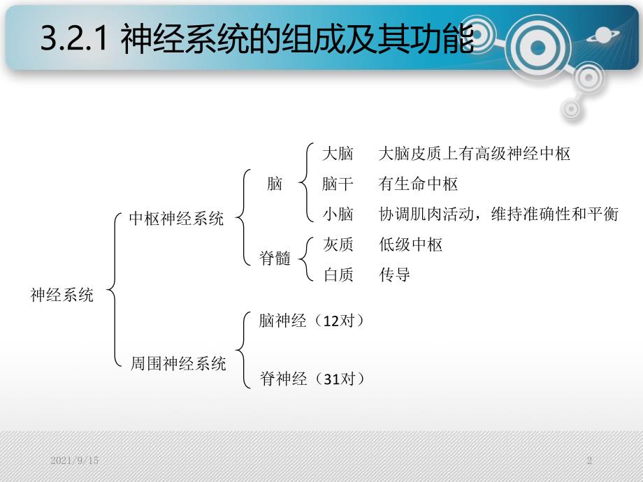 安全人机工程学-32人的生理特征_第2页