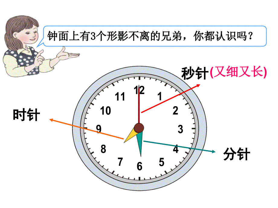 三年级上册数学课件7.3秒的认识青岛版共24张PPT_第2页