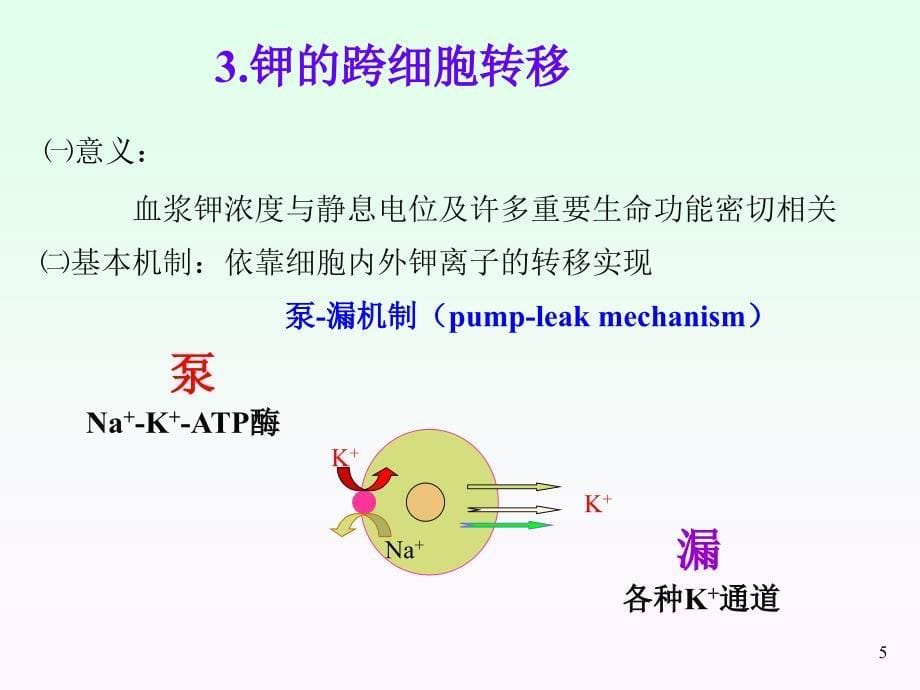 医学课件第三章水电解质代谢紊乱钾_第5页