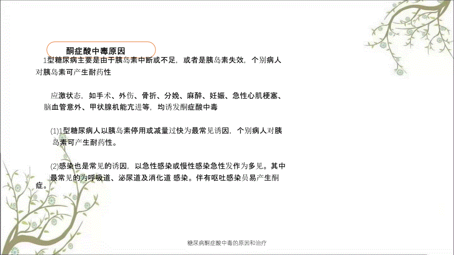 糖尿病酮症酸中毒的原因和治疗_第3页