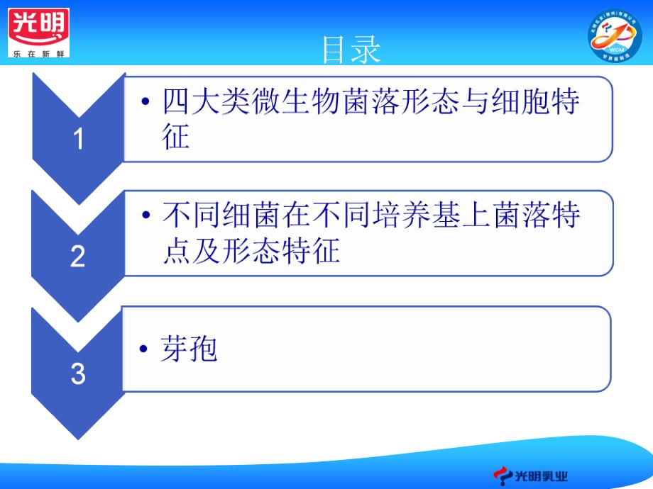 常见微生物菌落形态特征课件_第2页