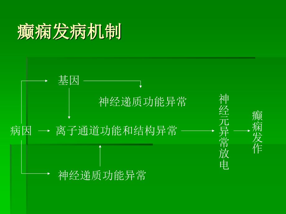 抗癫痫药物研究进展_第3页