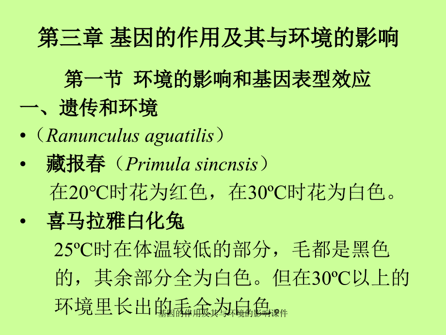 基因的作用及其与环境的影响课件_第1页