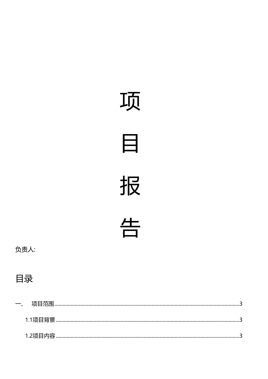 软件项目报告_第1页