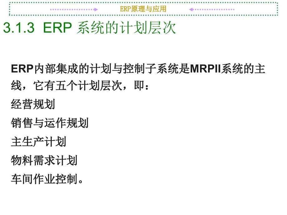 第3章ERP计划方法_第5页