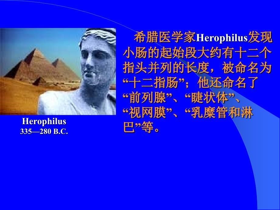 《神经生物学》PPT课件.ppt_第5页