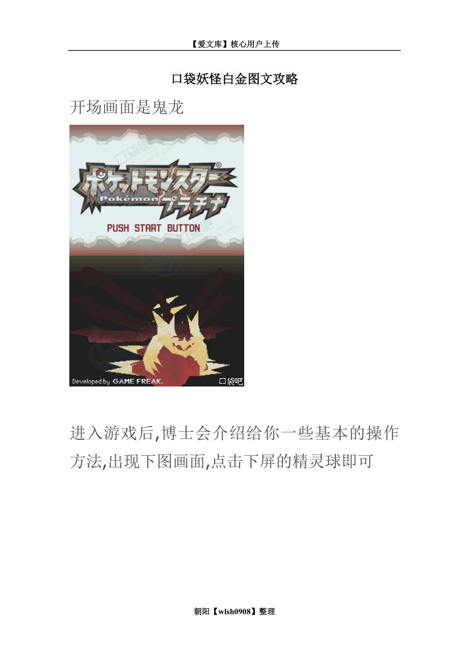 口袋妖怪白金图文攻略.doc_第1页