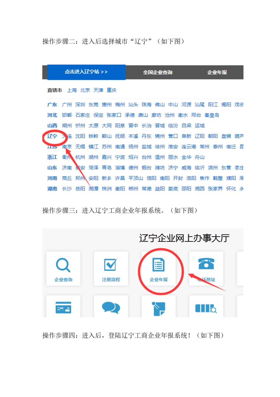 辽宁红盾网工商年检网上申报系统操作流程_第2页