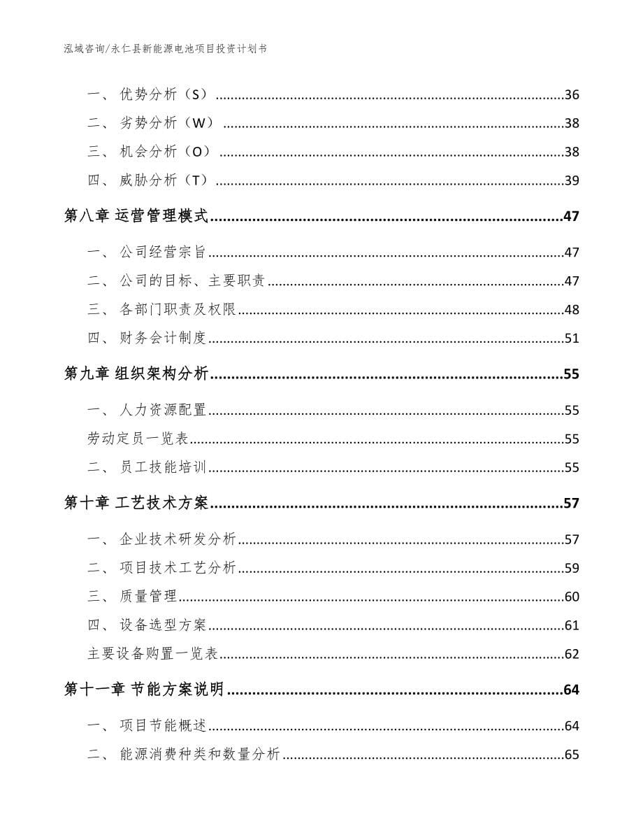 永仁县新能源电池项目投资计划书【模板范文】_第5页